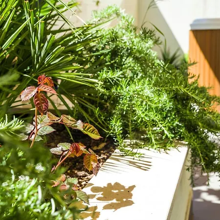 Amaris Luxury * Spalato